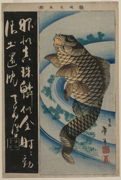 Karpfen und Wasserpflanzen, ca. frühe 1830er Jahre von Katsushika Taito II