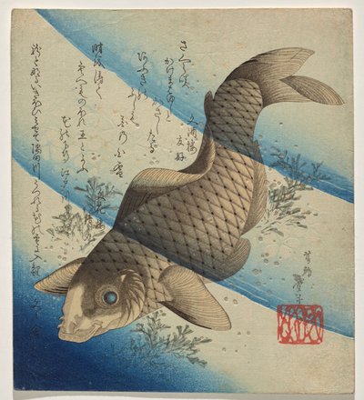 Karpfen schwimmen im Seegras von Katsushika Taito II