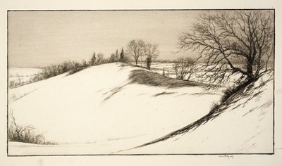 Der Rücken des Wals von Kerr Eby