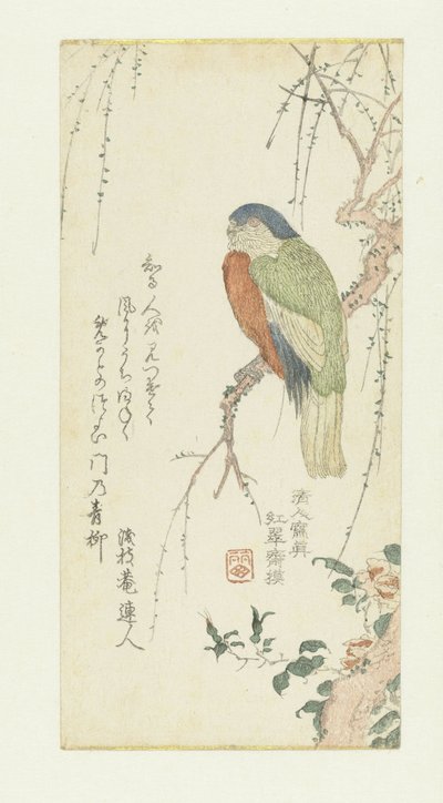 Papagei in einem Pflaumenbaum von Kitao Shigemasa