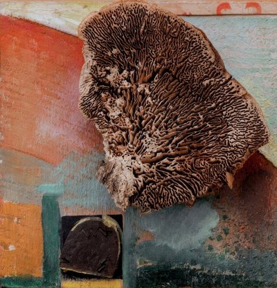 Ohne Titel (Merzbild mit Koralle) von Kurt Schwitters