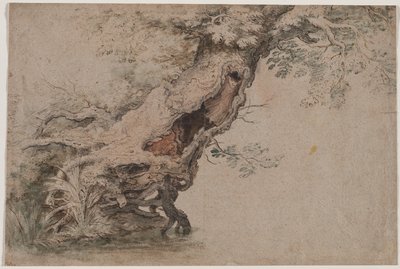 Hohler Baum, nach Roelant Savery, nach 1670 von Lambert Doomer