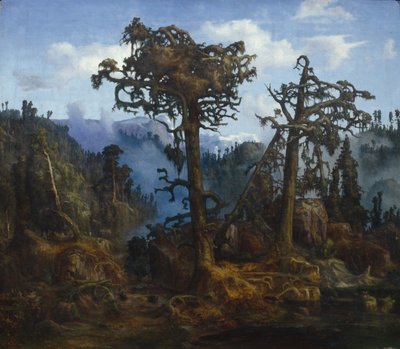 Alte Kiefern von Lars Hertervig