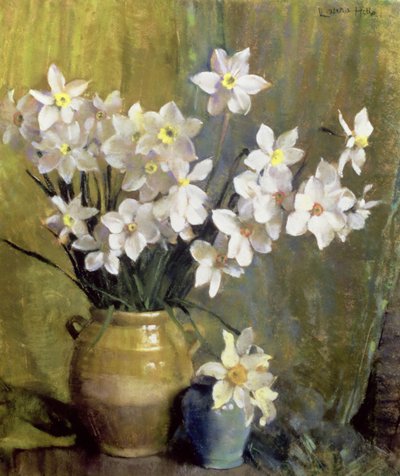 Narzisse von Laura Coombs Hills