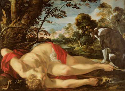 Toter Adonis, ca. 1624-28 von Laurent de la Hyre