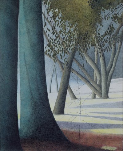 Buchenstämme von Leon Spilliaert