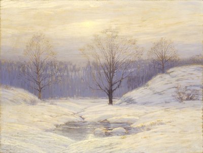 Morgendunst von Leonard Ochtman