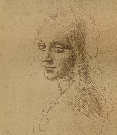 Ein weiblicher Kopf, ca. 1472-1519 von Leonardo da Vinci