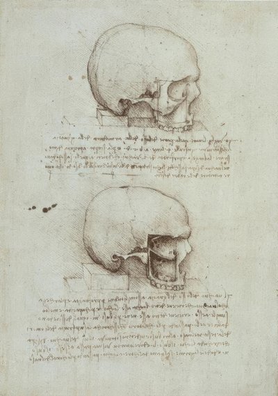 Anatomiestudien von Leonardo da Vinci