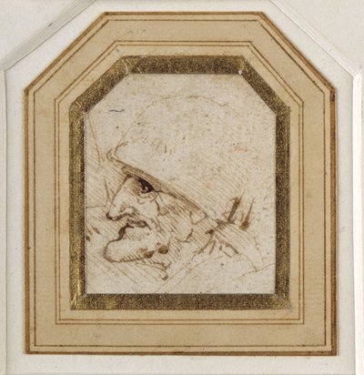 Grotesker Kopf von Leonardo da Vinci