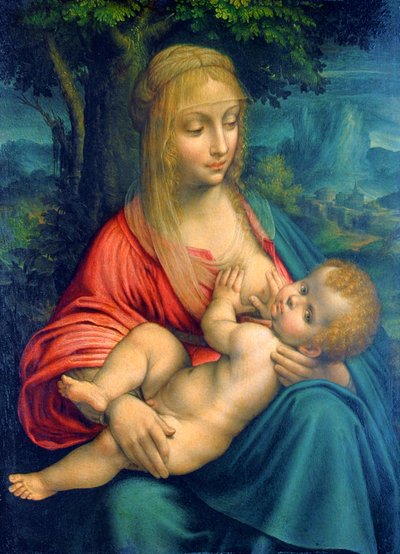 Die Jungfrau und das Kind, um 1511 von Leonardo da Vinci