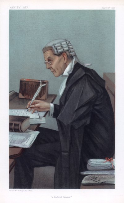 Ein radikaler Anwalt von Leslie Matthew Ward