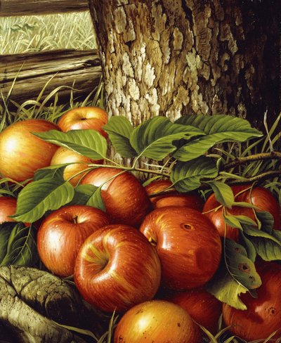 Äpfel und Baumstamm von Levi Wells Prentice