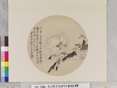 Weiße Pfingstrose von Lian Ju