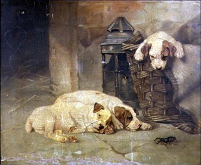 Der Eindringling von Lilian Cheviot