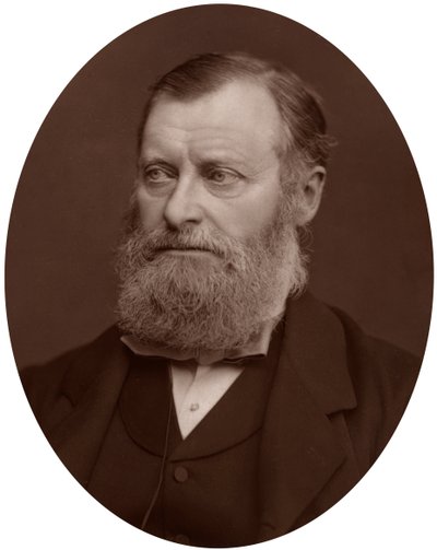 William Edward Forster MP, 1878 von Lock and Whitfield
