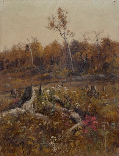 Landschaft von Lockwood de Forest