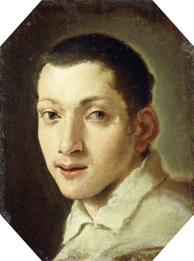Kopf eines Jugendlichen von Lodovico Carracci