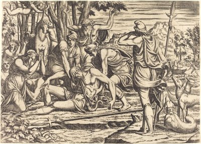 Der Tod des Adonis von Léon Davent after Luca Penni