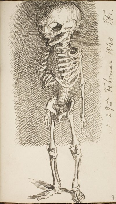 Skizze eines stehenden Skeletts von Lorenz Frølich