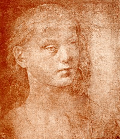 Mädchenkopf von Lorenzo di Credi