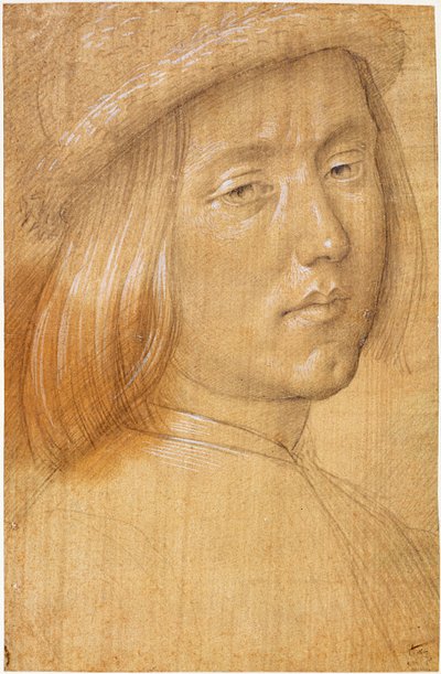 Kopf eines Jugendlichen von Lorenzo di Credi