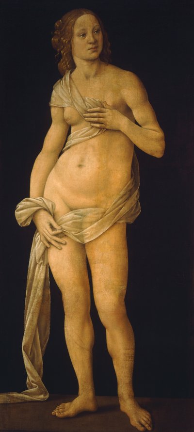 Venus von Lorenzo di Credi