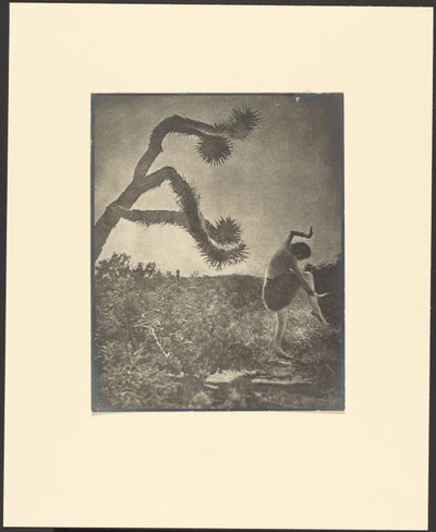 Apache-Tanz von Louis Fleckenstein