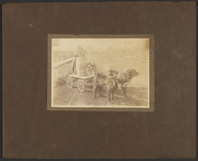 Kinder auf einem von Hunden gezogenen Wagen von Louis Fleckenstein