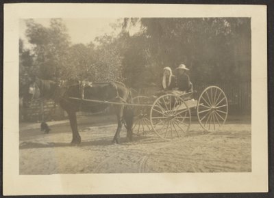 [Paar im Pferdewagen] von Louis Fleckenstein
