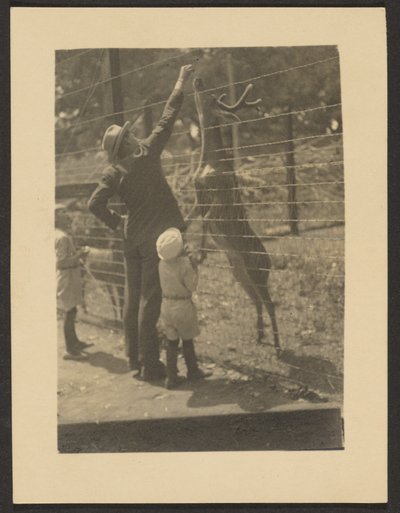 Hirsche füttern von Louis Fleckenstein