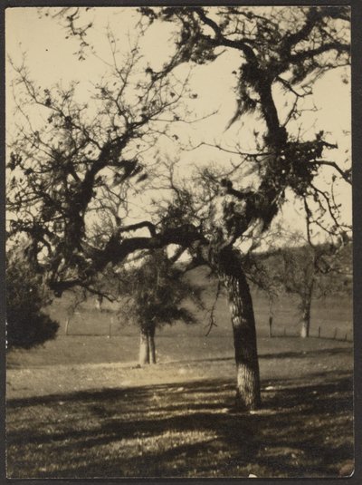 Landschaft von Louis Fleckenstein