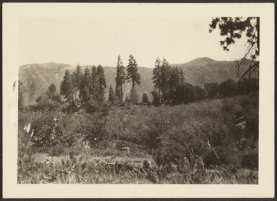 [Landschaft] von Louis Fleckenstein
