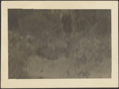 [Landschaft] von Louis Fleckenstein