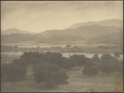 Landschaft mit niedrigen Bäumen von Louis Fleckenstein