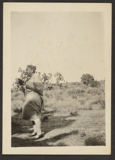 Frau Fleckenstein in der Landschaft von Louis Fleckenstein