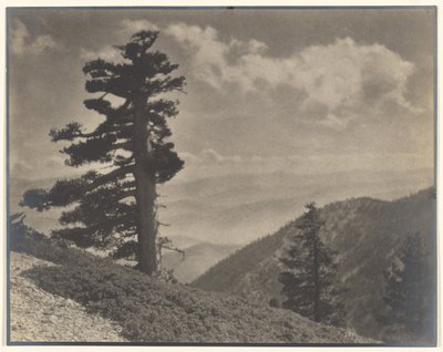 Auf dem Grat zu Old Baldy von Louis Fleckenstein