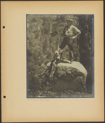 Auf dem Selbstmordfelsen von Louis Fleckenstein