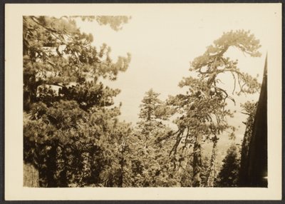 Santa Rosa Gipfel von Louis Fleckenstein