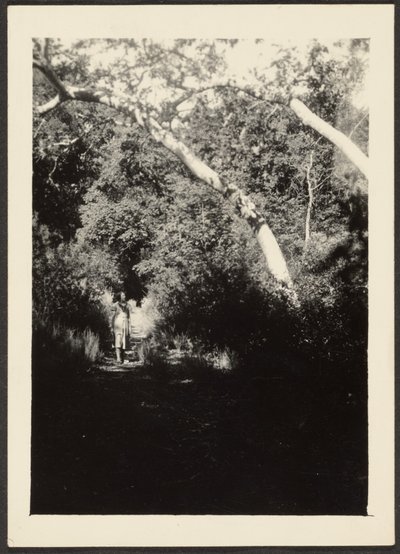 Frau auf einem Pfad im Wald von Louis Fleckenstein