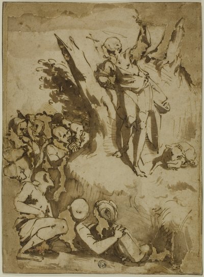 Johannes der Täufer predigt von Luca Cambiaso