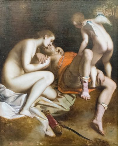 Venus trauert um den Tod von Adonis von Luca Cambiaso