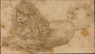 Studie eines Löwen von Lucas the Elder Cranach