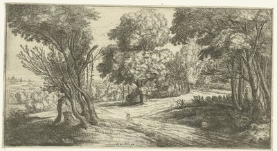 Waldlandschaft von Lucas van Uden