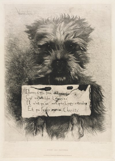 Für die Armen von Ludovic Napoléon, Vicomte Lepic