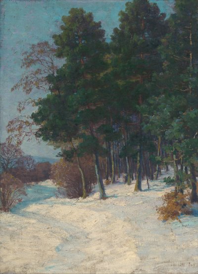 Wald im Winter von Ludovit Cordak