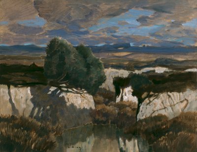 Im weißen Moor von Ludwig Dill