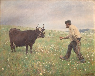 Eine Kuh los von M. Therkildsen