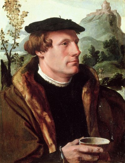 Porträt eines Gentlemans von Maerten van Heemskerck