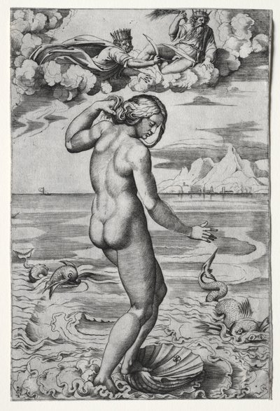 Die Geburt der Venus von Marco Dente